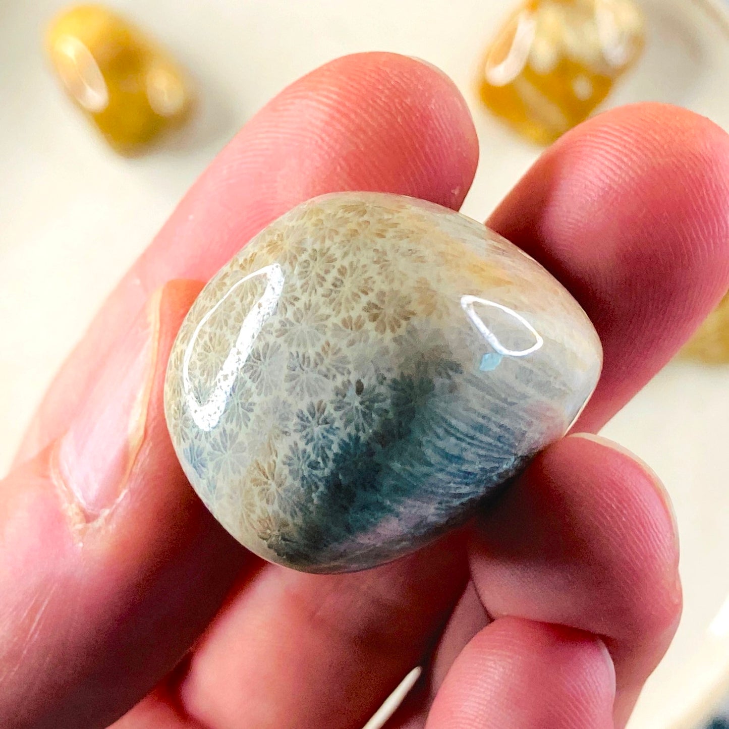 Fosilizirane korale - tumbled