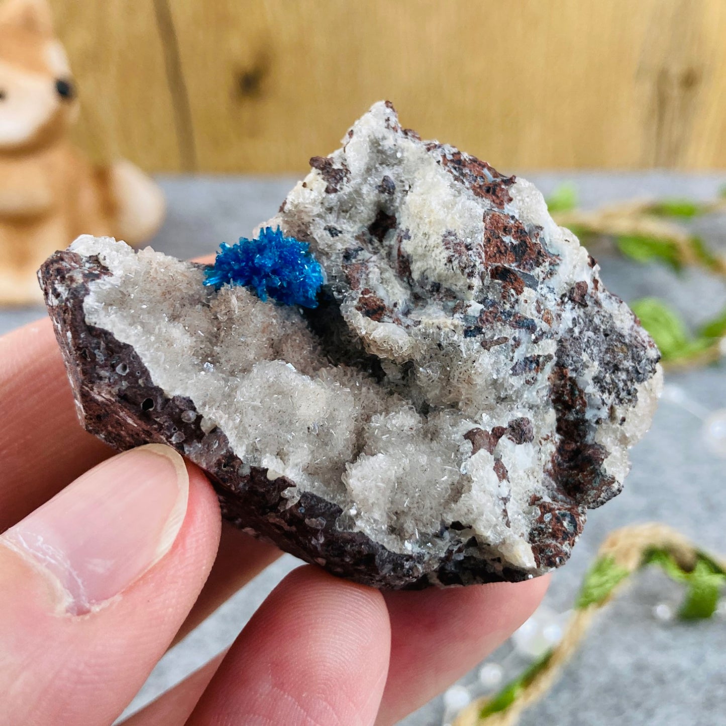 Cavansite na matrici #03