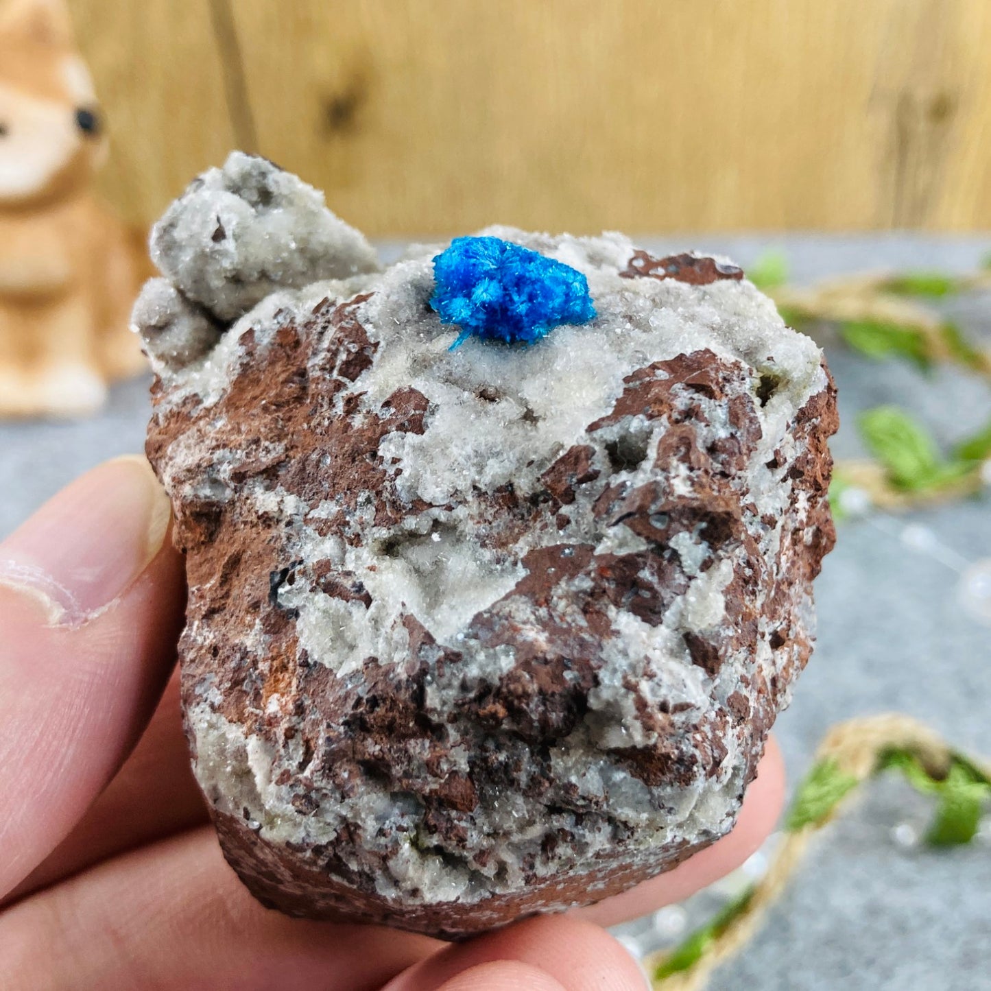 Cavansite na matrici #01