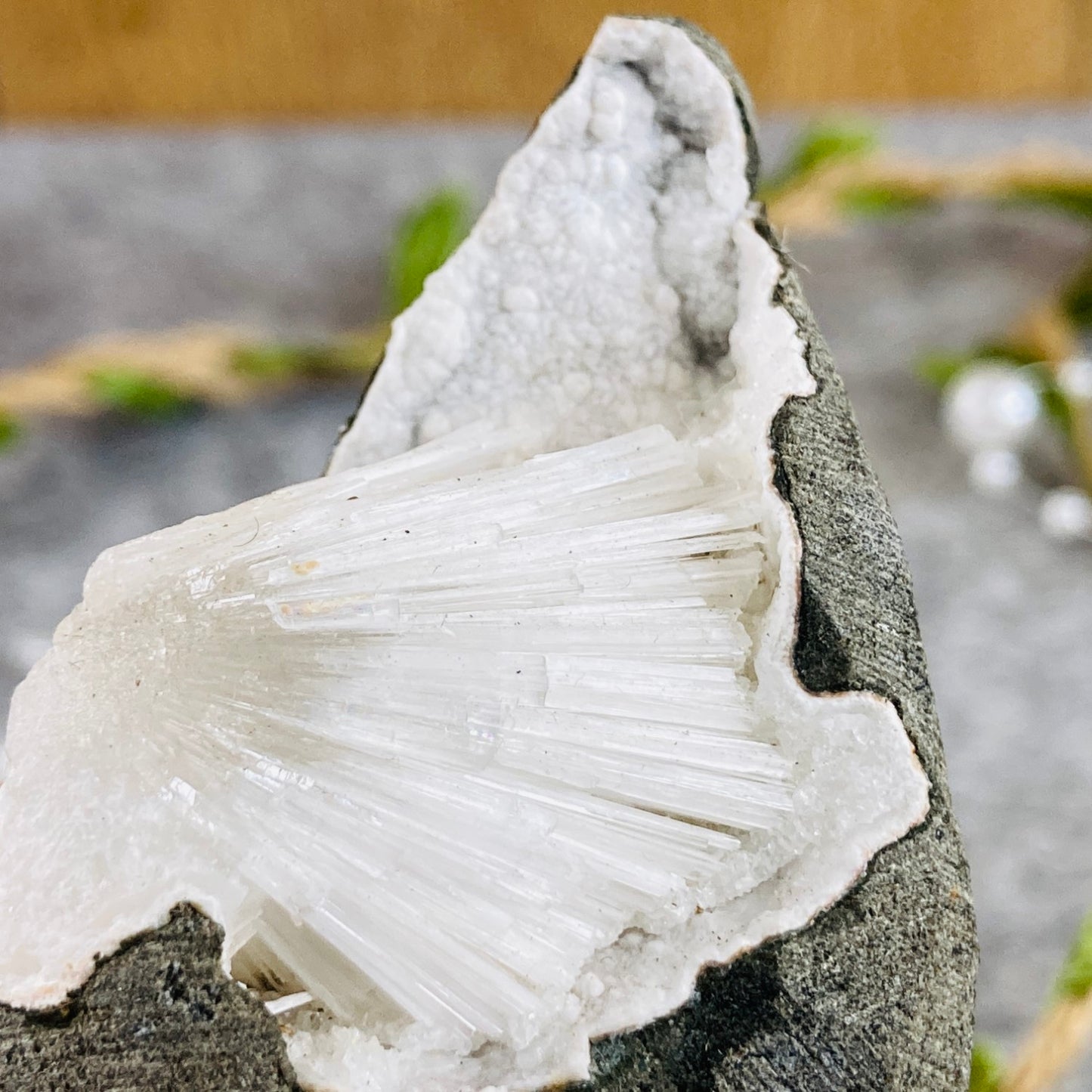 Skolecit v bazaltu #03