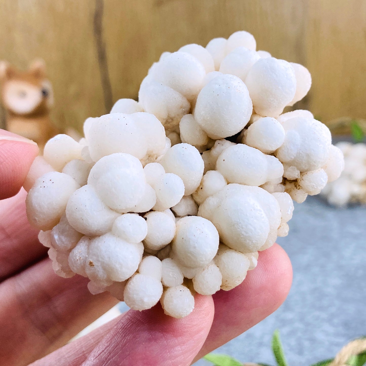 Aragonit s kalcitom - Botrioidal