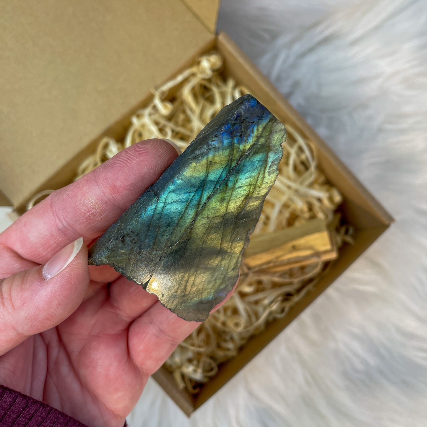 Darilni paket - Transformacija