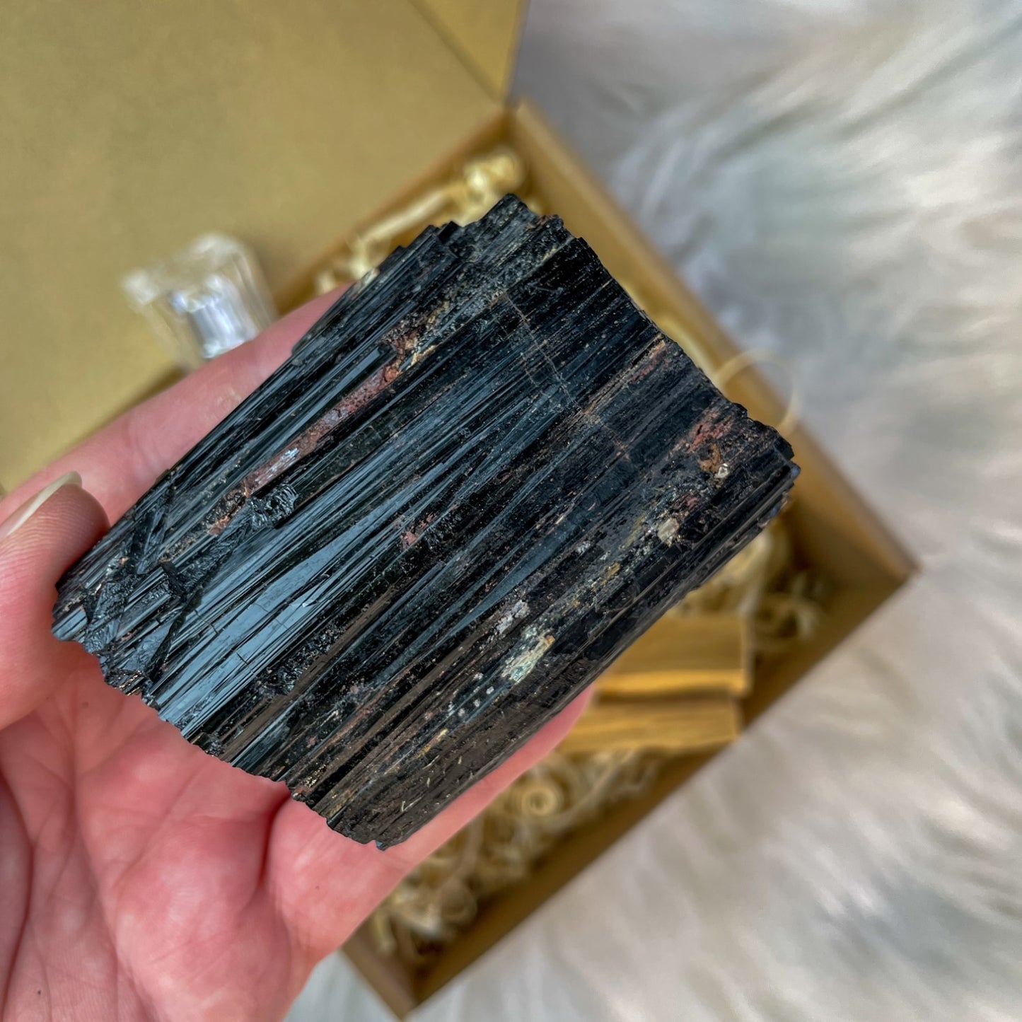 Darilni paket - Zaščita