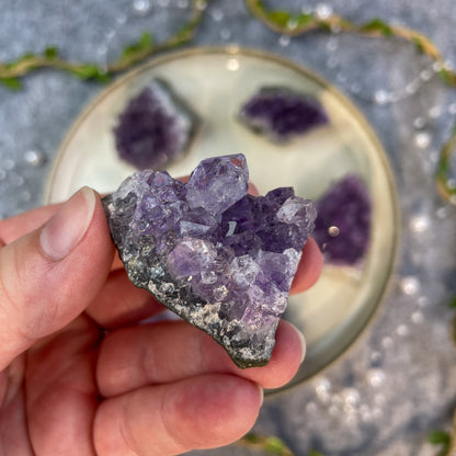 Ametist - rastišče