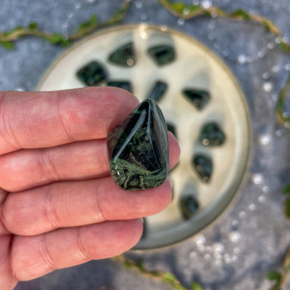 Kambaba jaspis - tumbled