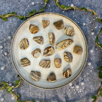 Slikoviti jaspis - tumbled