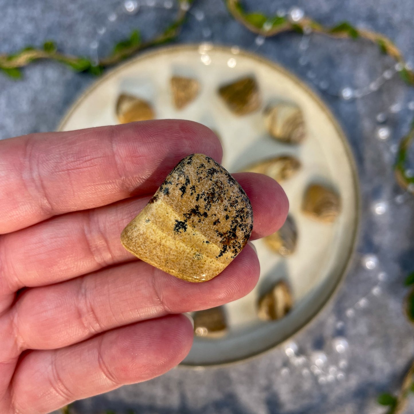 Slikoviti jaspis - tumbled