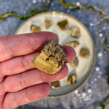 Slikoviti jaspis - tumbled