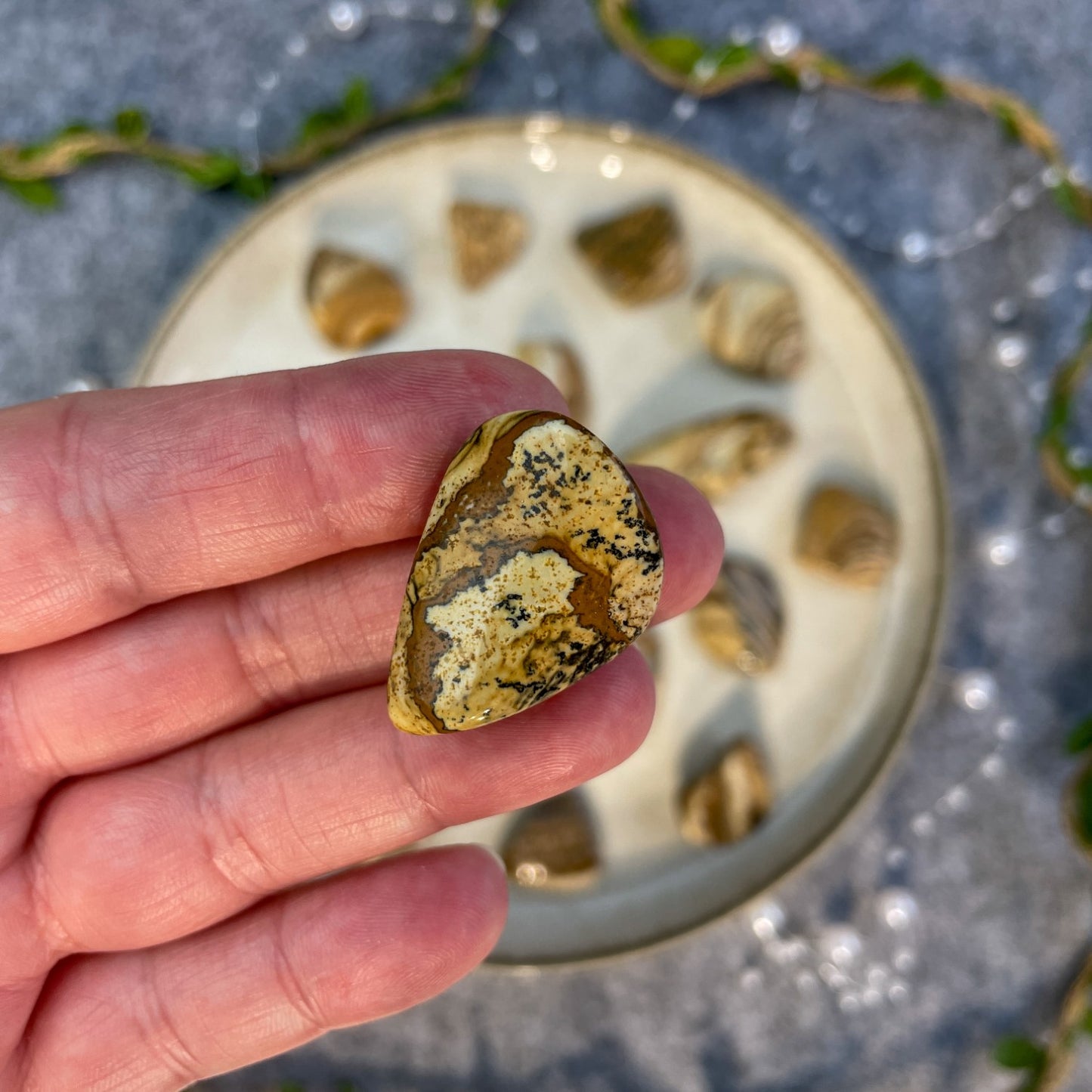 Slikoviti jaspis - tumbled