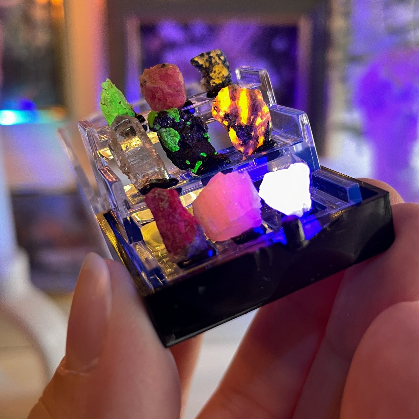 UV reaktivni minerali v vitrini