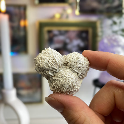 Puščavska roža - mini