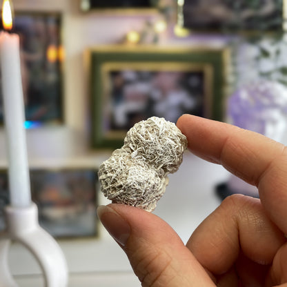 Puščavska roža - mini